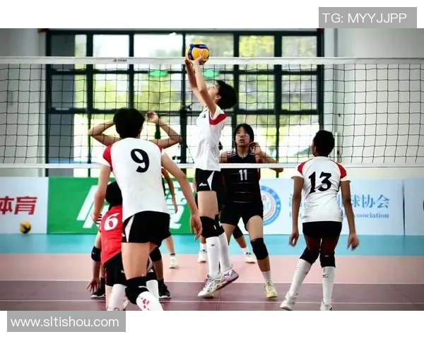 排球战术排行榜揭晓上海排球队荣登第十名引发关注