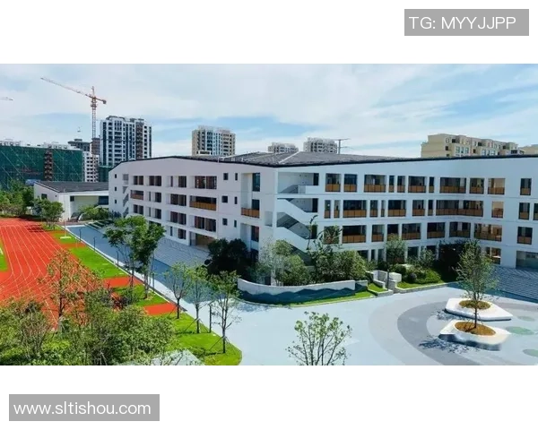 成都羽毛球队逆袭联合会杯的辉煌征程与背后故事