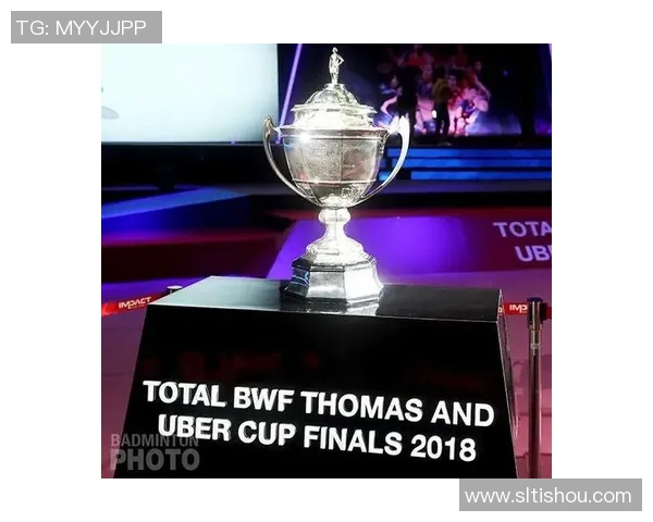 广州羽毛球队在城市联赛中的状态分析与表现评估